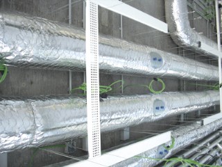 Img.  IBER COVER.png